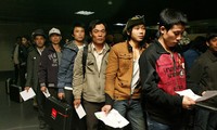 25 вьетнамских трудящихся в Ливии отбыли из Египта на Родину
