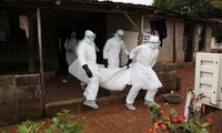 Страны мира увеличивают помощь Западной Африке в борьбе с лихорадкой Эбола