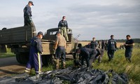 Опознаны ещё 42 жертвы крушения малайзийского лайнера на Украине