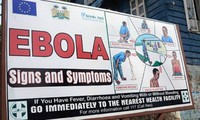 Вьетнам применяет активные меры по профилактике лихорадки Эбола