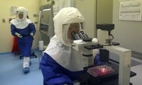 ВОЗ разрешила использовать экспериментальную сыворотку против вируса Эбола