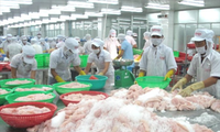 Россия сняла временный запрет на ввоз морепродуктов из Вьетнама