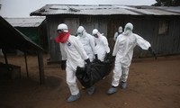 ВОЗ: число жертв лихорадки Эбола достигло 1350 человек