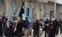 США отрицают сотрудничество с властями Сирии в борьбе c «Исламским государством»