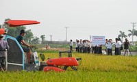 Активизация планировки больших полей и механизации сельского хозяйства в провинции Бакнинь