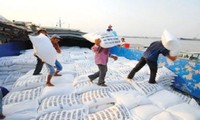Вьетнам поставит Филиппинам 200 тысяч тонн риса