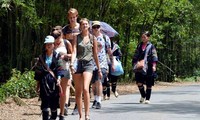 Число зарубежных туристов, посетивших Вьетнам, превысило 6 млн человек