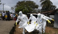 Для миссии по борьбе с лихорадкой Эбола ООН выделила почти $50 млн