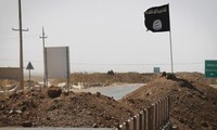 «Исламское государство» казнило одного журналиста и более десятка иракцев