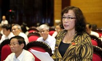 Вьетнамские депутаты обсудили Закон о гражданской авиации
