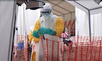 Клинические испытания лекарства от Эболы скоро будут проведены в Западной Африке