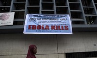 ВОЗ предупредила об увеличении числа погибших от вируса Эбола