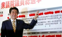 Правящая партия Японии одержала победу на выборах в нижнюю палату парламента