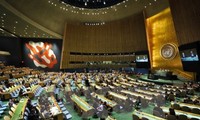 Многие страны мира выступили против резолюции о привлечении властей КНДР к МУС