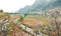 Превращение Моктяу в государственный туристический комплекс на северо-западе Вьетнама