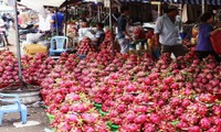 В дельте реки Меконг создают торговые марки фруктов на экспорт