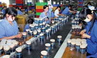 Развитие частного сектора для повышения экономической эффективности Вьетнама