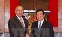 Президент СРВ Чыонг Тан Шанг принял главу МИД Турции