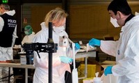 Выявлено 78 образцов ДНК жертв авиакатастрофы во Франции