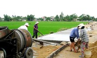 Блестящие успехи в строительстве новой деревни в провинции Куангнам