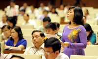 Депутаты вьетнамского парламента обсудили важные законопроекты