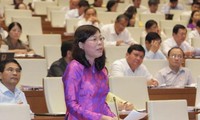 Мнения вьетнамских избирателей о социально-экономическом положении в стране