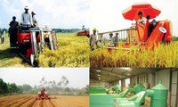 Дальнейшее совершенствование механизма привлечения ресурсов для развития сельского хозяйства