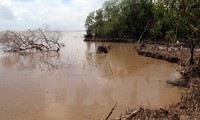 Региональная интеграция в борьбе со стихийными бедствиями и изменением климата в дельте Красной реки