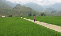 Донгха – первая община в провинции Хазянг, завершившая строительство новой деревни