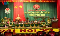 Во Вьетнаме завершились съезды парткомов некоторых провинций и городов страны