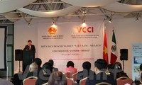 Мексиканские предприятия желают расширить инвестиционное сотрудничество с Вьетнамом