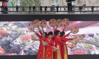 Открылись Дни вьетнамской культуры в чешском городе Брно