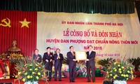 Уезд Данфыонг признан завершившим строительство новой деревни