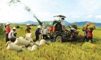 Во Вьетнаме будут названы 63 лучших крестьянина страны