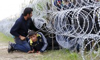 Каковы меры по разрешению миграционного кризиса?