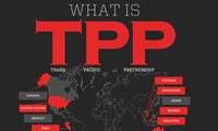 Соглашение о ТТП: вопросы, которые предприятия должны узнать
