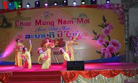 Вьетнамцы за границей встречают Традиционный новый год по лунному календарю
