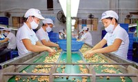 Благоприятные перспективы экспорта сельхозпродукции Вьетнама в 2016 году