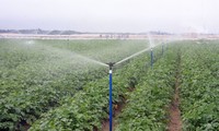 Реструктуризация растениеводства для экономии воды
