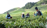 Эффект политики содействия социально-экономическому развитию горных районов Вьетнама