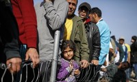 Вторая группа мигрантов депортирована из Греции в Турцию