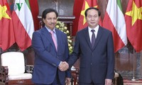 Президент Вьетнама Чан Дай Куанг принял премьер-министра Кувейта