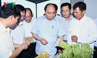 Премьер Вьетнама разрешил провинции Ниньтхуан ввести льготный инвестиционный механизм