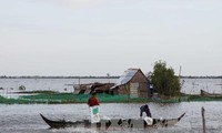 Крестьяне дельты реки Меконг адаптируются к отсутствию наводнений