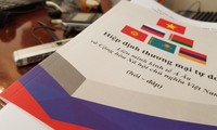 Вступление в силу Соглашения о ЗСТ между СРВ и ЕАЭС