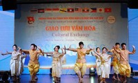 В городе Кантхо открылся вьетнамо-японский фестиваль 2016 года