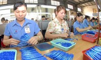 Повышение роли частного сектора в развитии вьетнамской экономики