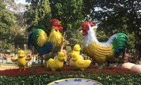 В городе Хошимин открылась ярмарка весенних цветов года Огненного петуха