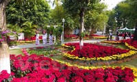 Открылся крупнейщий на севере Вьетнама фестиваль весенних цветов