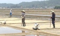 Село по добыче соли Шахуинь в провинции Куангнгай